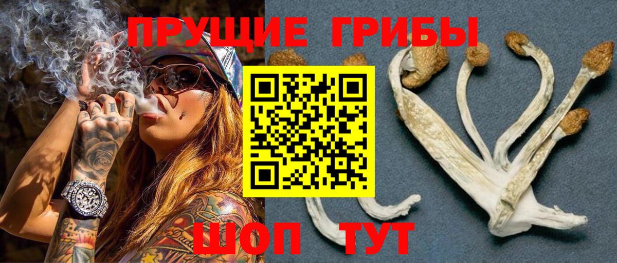 Пушкино  Галлюциногенные грибы прущие грибы  Вход с VPN 
